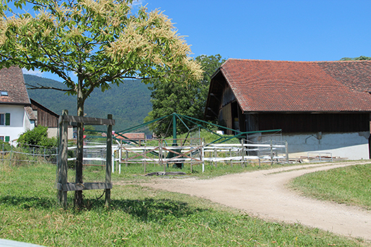 marcheur marcheur