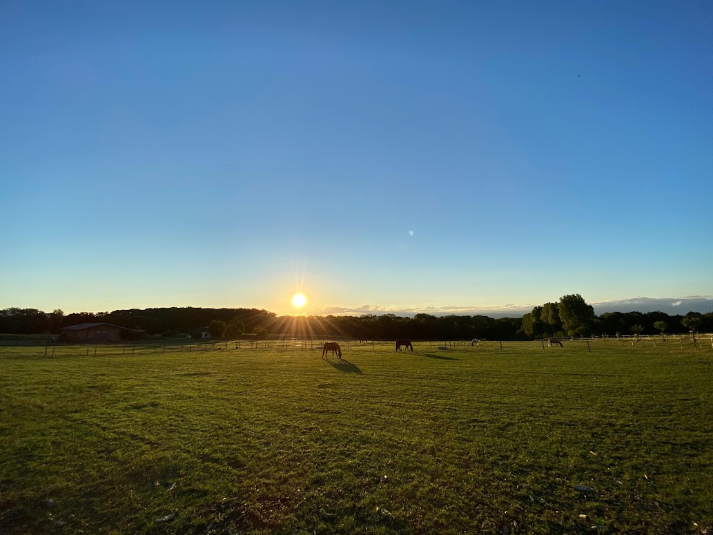 Parc été Parc été