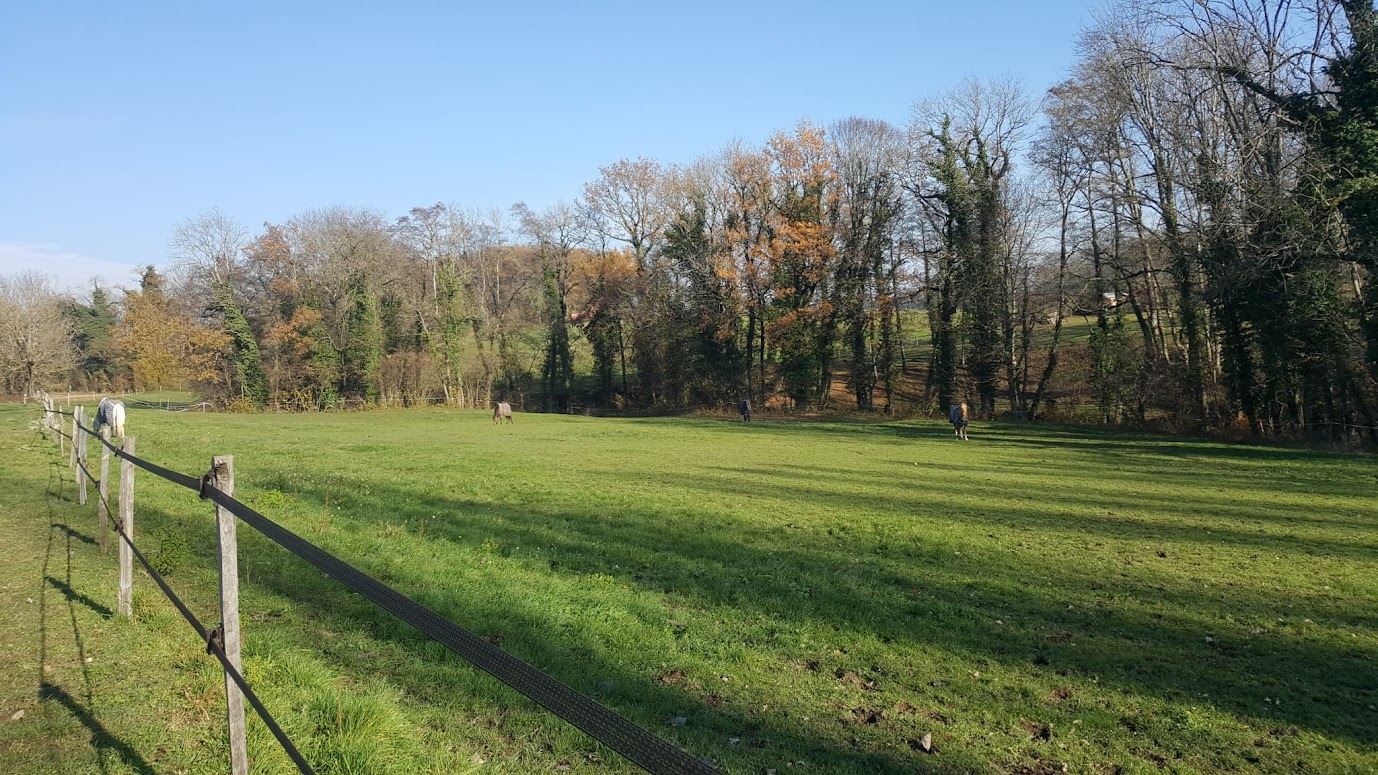 Parc été Parc été
