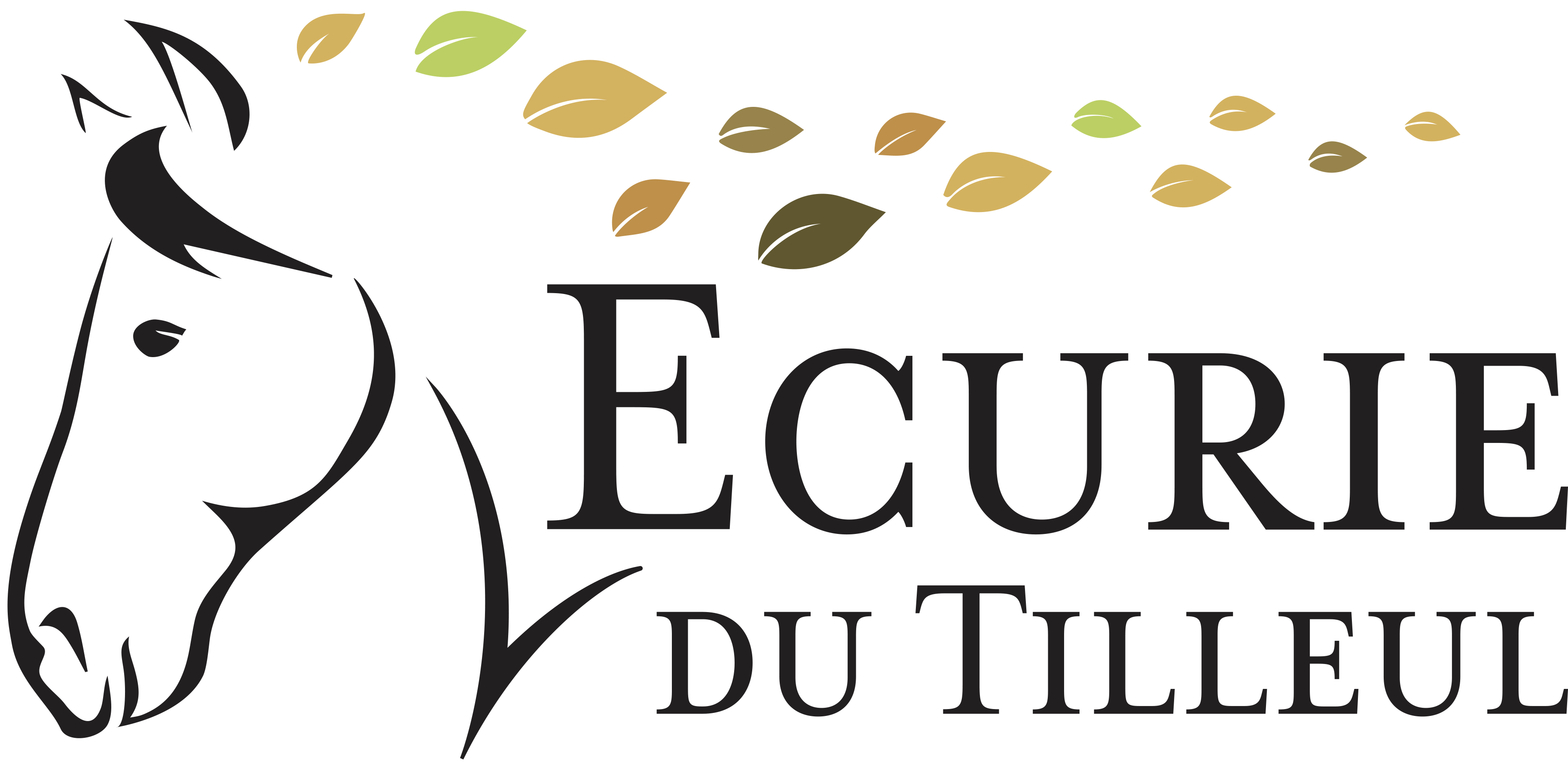 Logo noir sans fond